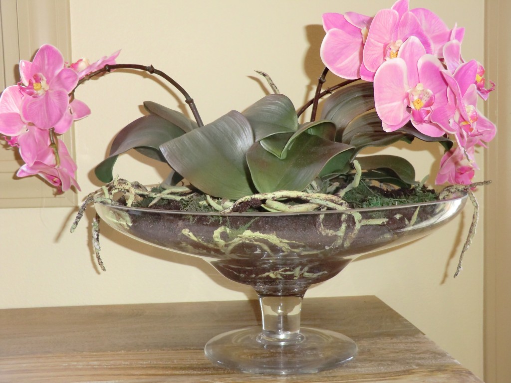 DIL Pink Phalaenopsis in Footed Glass Vase