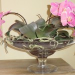 DIL Pink Phalaenopsis in Footed Glass Vase DIL Pink Phalaenopsis in Footed Glass Vase