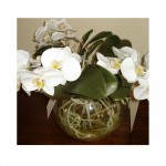 DIL White Phalaenopsis in Glass Vase DIL White Phalaenopsis in Glass Vase