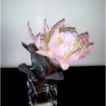 SIL Single King Protea in H20 SIL Single King Protea in H20