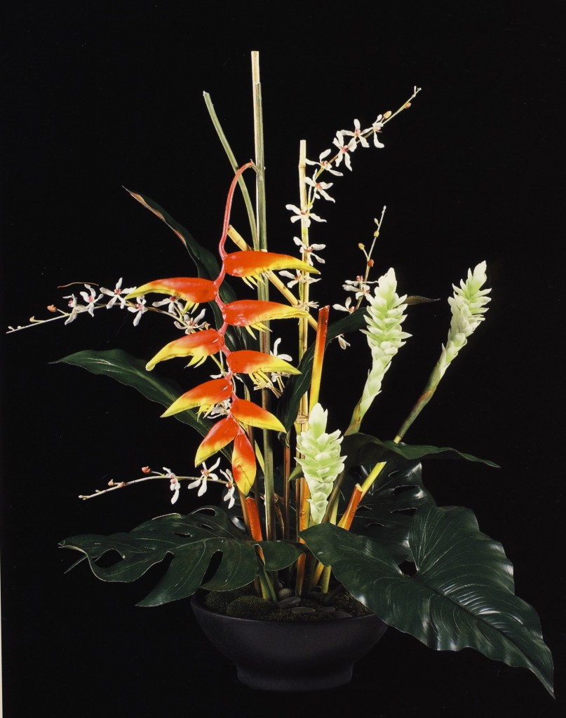 SIL Exotic Heliconia