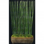SIL Lucky Bamboo Planter SIL Lucky Bamboo Planter