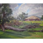 JR "Upcountry Morning"