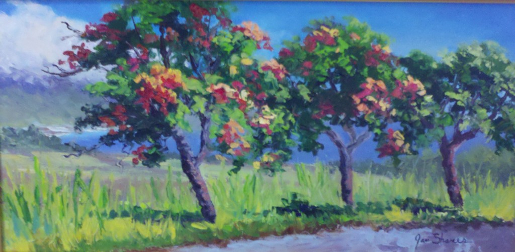 Jane Shaner