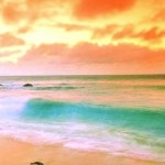Coral & Aqua